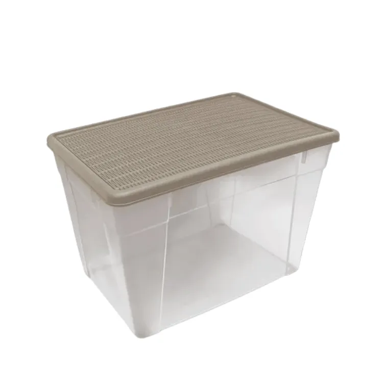 Guardatodo Ratán 50L  #2 Beige