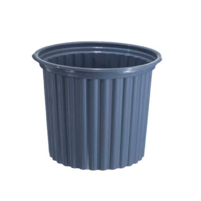 [7861158700425] Tarrina Estriada 1L Ploma x50 Unidades