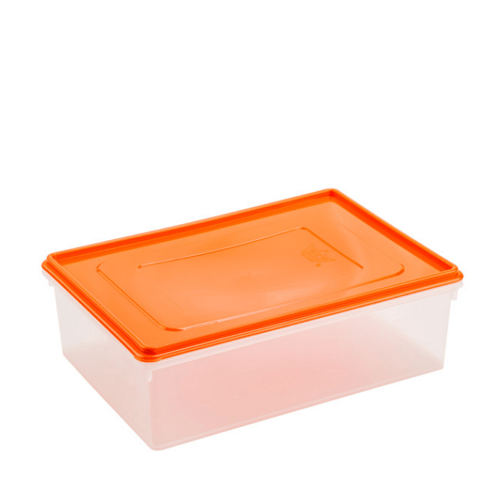 Caja Conservadora Rey # 5