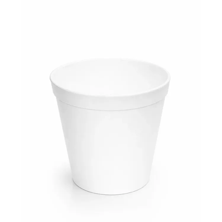 Tarrina Térmica Natural 28oz Plastro x25 Unidades