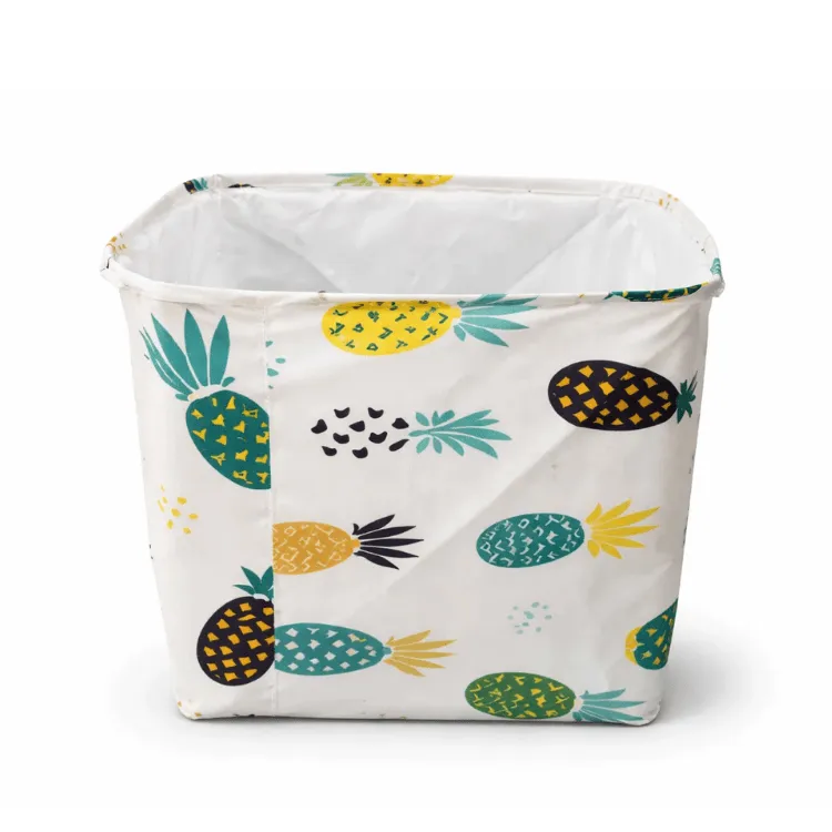 Bolso Multiusos Con Toldo Piña  32x43x50cm