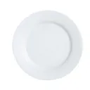 Luminar Plato Tendido Grande 26.5cm 10 1/4" Everyday